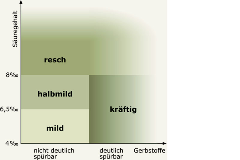 Geschmacksrichtungen beim Most