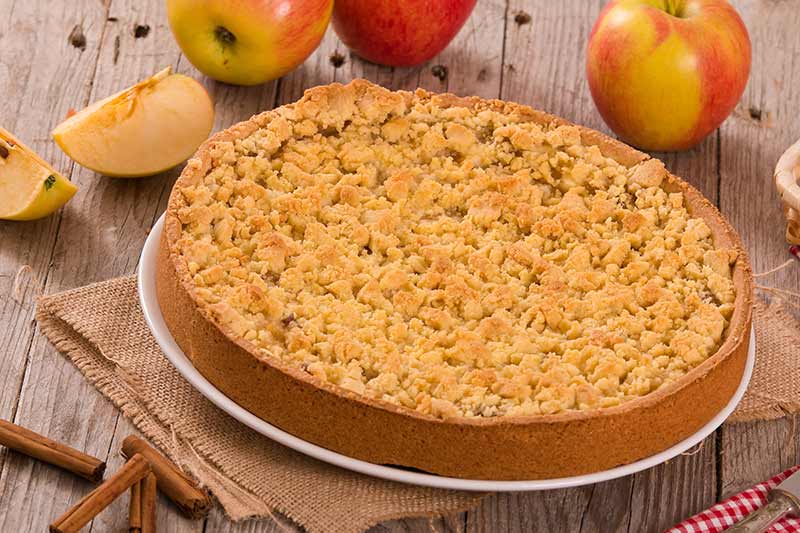 Kürbis-Apfel-Kuchen mit Honig-Zimt-Crumble